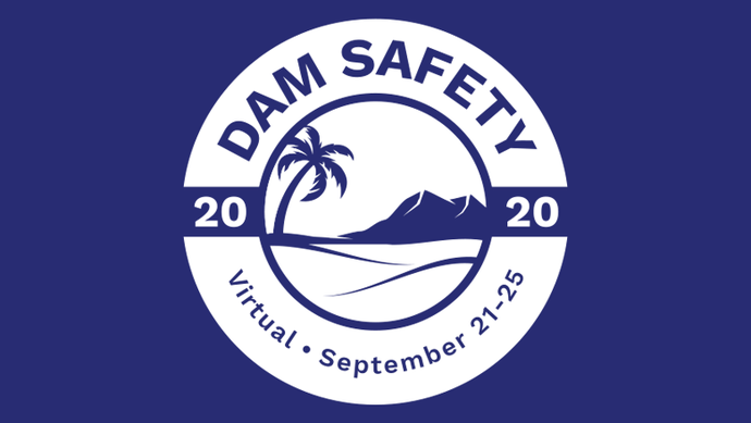 Dam Safety 2020 logo